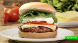 Achapa Hamburgers